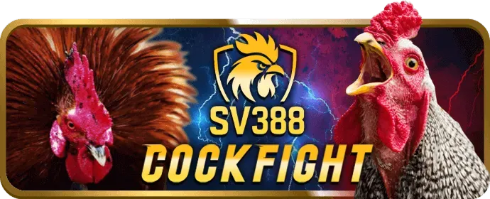 Ưu đãi nạp tiền hàng ngày 88sc